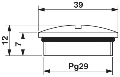 Заглушка Pg29