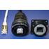 Amphenol. Conn IP67 RJ-45 PL 8 POS ST Cable Mount 8 Terminal 1 Port Cat 5e - RJF62A1G