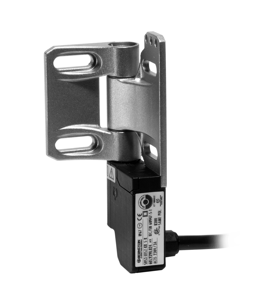 Switches for hinged applications