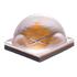 CREE. HP LED XLamp XHP50XHP50 CCT 2700K CRI 80 - XHP50A-01-0000-0D0HG227G