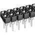 Fischer Elektronik. Conn Socket Strip SKT 100 POS 2.54mm Solder ST Thru-Hole - MK 201 100 Z