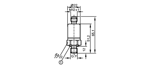 1: Уплотнение FKM / DIN 3869-14<br/>момент затяжки 25 Нм 