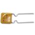 AHEF070 Littelfuse PTC Resettable Fuse 0.7A(hold) 1.4A(trip) 32VDC 100A 1.4W 3.2s 0.23Ohm Radial 6.9 X 3 X 10.8mm Bag RF3355-000