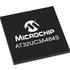AT32UC3A464S-C1UT Microchip Technology MCU 32-bit AVR RISC 64KB Flash 1.85V/3.3V 100-Pin VFBGA Tray