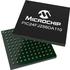 PIC24FJ256DA110-I/BG Microchip Technology MCU 16-bit PIC RISC 256KB Flash 2.5V/3.3V 121-Pin TFBGA Tray