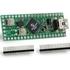 Microchip Technology. PIC32MX250F128D-50I/ML Microcontroller Development Board 0.032MHz/48MHz CPU 32KB RAM 128KB Flash - TCHIP011