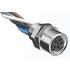 1200310022 Molex Cable Assembly Lead 0.3m 24AWG Nano-C 4 POS F Nano-Change (M8) 4R4H40E02C3003