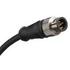 1211930005 Molex Cable Assembly TPE 0.3m 22AWG M12 Circular 5 POS M MX-PTL