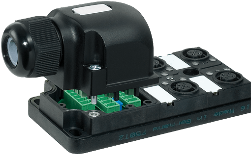 Murrelektronik. MVP12, 4XM12, UNIVERSAL, SET Pins wired 1:1 to terminal - 8000-44752-0000000