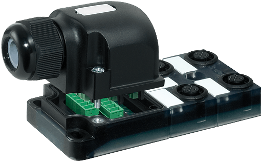 Murrelektronik. EXACT12, 4XM12, 5-POLE, CAP, PLUG. SCREW-TERM W.o. LEDs - 8000-84552-0000000