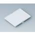 OKW. Railtec C Front Panel For Enclosure That Suitable As An Automatic Control Case For Time Controllers, Sensors - B6801100
