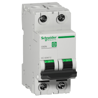 Schneider Electric. Multi 9 - C60N - MCB - 2P - 6 A - C Curve - 415 V - 10 kA - M9F11206