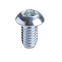 Schneider Electric. Винт Torx T30 (M6x10) - NSYSPM6