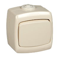 Schneider Electric. Рондо - переключатель - откр. уст. - 1-кл. - 6А - сл. кость - IP44 - VA66-102B-SI