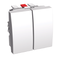 Schneider Electric. ПЕРЕКЛЮЧАТЕЛЬ ДВУХКЛАВИШНЫЙ 16A - Altira - ALB45056