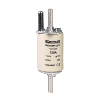Schneider Electric. Предохранитель 3e GF 630А - TeSys GS - DF4KN1631