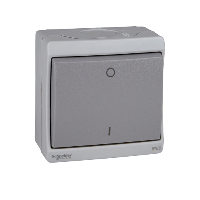 Schneider Electric. Двухполюсный вык-ль, о/у, серый, в сборе IP55 - Mureva - ENN35733
