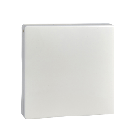 Schneider Electric. ЦЕНТР.ПЛАТА С КР.Д/МЕХ.РОЗ.SCHUKO БЕЛЫЙ - Merten Antique/Artec - MTN2340-4019