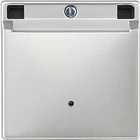 Schneider Electric. ВЫКЛ.С КАРТОЧКОЙ-КЛЮЧОМ СТАЛЬНОЙ - Merten Antique/Artec - MTN315346