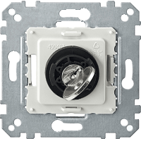Schneider Electric. МЕХ.ВЫКЛ.С УПРАВЛЕНИЕМ КЛ.2 ПОЛ. - Merten System M - MTN318599