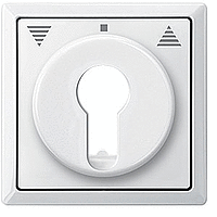 Schneider Electric. ЦЕНТ.ПЛ.Д/МЕХ.КНОП.ВЫКЛ.С Ф.ПОЛ.РОЛ.БЕЛ - Merten Antique/Artec - MTN319719