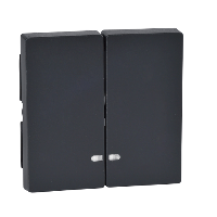 Schneider Electric. ДВЕ КЛАВИШИ С ОКОШ.Д/СВЕТ.ИНД.АНТР - Merten System M - MTN3420-0414