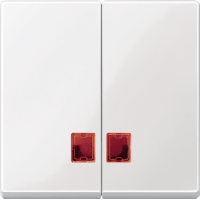Schneider Electric. ДВЕ КЛАВ.С КР.ПРЯМОУГ.ОК.Д/СВЕТ.ИНД.БЕЛ - Merten System M - MTN3456-0319