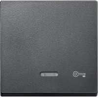 Schneider Electric. КЛАВИША С СВЕТ. ИНДИК., "ДВЕРЬ" - Merten System M - MTN430714
