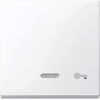 Schneider Electric. КЛАВИША С СВЕТ. ИНДИК., "ДВЕРЬ" - Merten System M - MTN435325