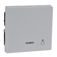 Schneider Electric. КЛАВИША С СВЕТ. ИНДИК., "СВЕТ" - Merten System M - MTN435919