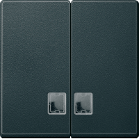 Schneider Electric. ДВЕ КЛАВ.С БЕСЦ.ПРЯМ.ОК.Д/СВ.ИНД.АНРАЦИТ - Merten System M - MTN437514