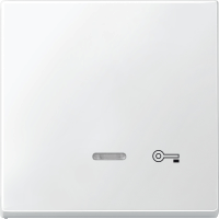 Schneider Electric. КЛАВИША С СВЕТ. ИНДИК., "ДВЕРЬ" - Merten Antique/Artec - MTN437619