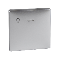 Schneider Electric. КЛАВИША С ОКОШКОМ Д/СВ.ИНД."СВЕТ" АЛЮМ - Merten Antique/Artec - MTN437960