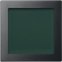 Schneider Electric. ЦЕНТРАЛЬНАЯ ПЛАТА С ОКОШКОМ АНТРАЦИТ - Merten System M - MTN587014