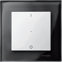 Schneider Electric. SM,КЛ. ДЛЯ М-ЛЯ 1 КН.ВЫК,РИС.1/0, П.БЕЛ - Merten System M - MTN619319