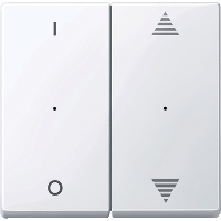 Schneider Electric. SM,КЛ.ДЛЯ МОД 2КН.ВЫК, ВВ/ВН,1/0,АК.БЕЛ - Merten System M - MTN619525
