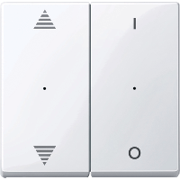 Schneider Electric. SM,КЛ.ДЛЯ МОД 2КН.ВЫК, ВВ/ВН,1/0, АК.БЕЛ - Merten System M - MTN619625