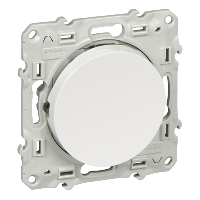 Schneider Electric. Выключатель - 2-канальный - 10 AX - белый - Odace - S52R263