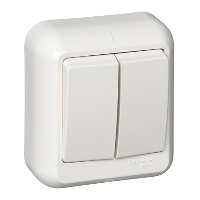 Schneider Electric. Прима - выключатель - откр. уст. - 2-кл. - 6А - сл. кость - IP20 - A56-029-S