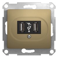 Schneider Electric. Glossa - USB розетка - 5 В пост.ток - титан - GSL000432
