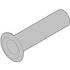 Schroff. Access Rivet - 21100076