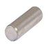 Schroff. Pivot Pin Unthreaded Stainless Steel - 21100671