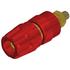SKS Kontakttechnik. Screw Terminal Brass 42mm Gold - PKI 10 A RED AU